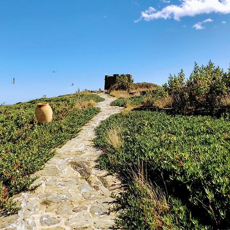 Isla Privada En Cadaques De Ensueno Con 11 Habitaciones Dobles Con Bano Privado Y Piscina Buitenkant foto