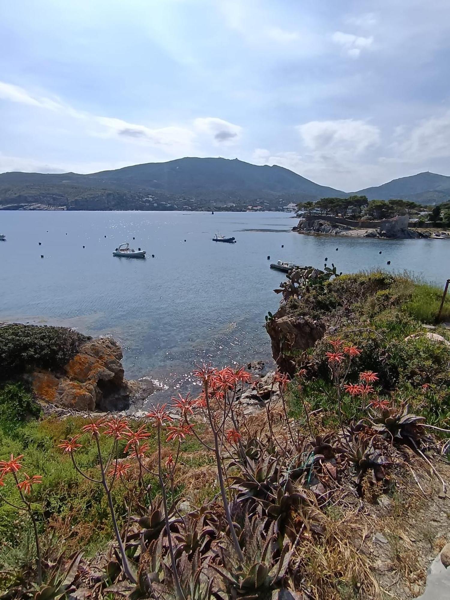 Isla Privada En Cadaques De Ensueno Con 11 Habitaciones Dobles Con Bano Privado Y Piscina Buitenkant foto