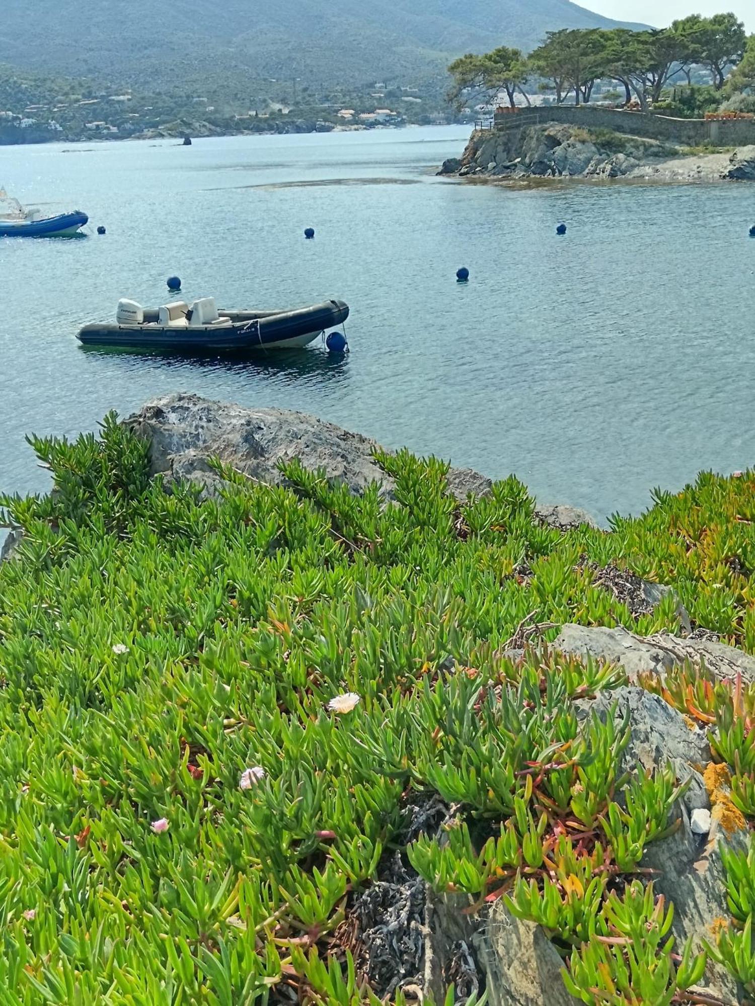 Isla Privada En Cadaques De Ensueno Con 11 Habitaciones Dobles Con Bano Privado Y Piscina Buitenkant foto