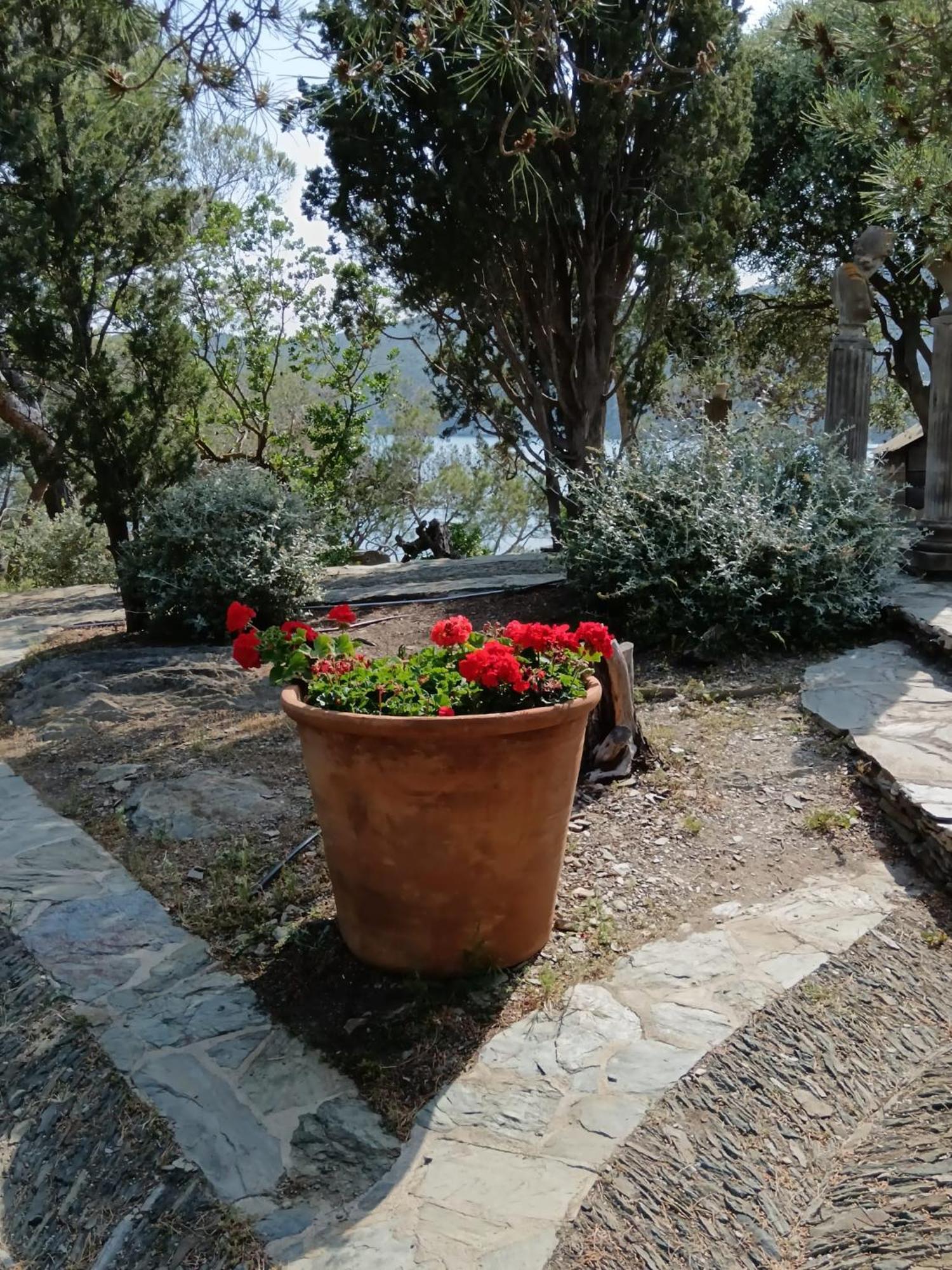 Isla Privada En Cadaques De Ensueno Con 11 Habitaciones Dobles Con Bano Privado Y Piscina Buitenkant foto