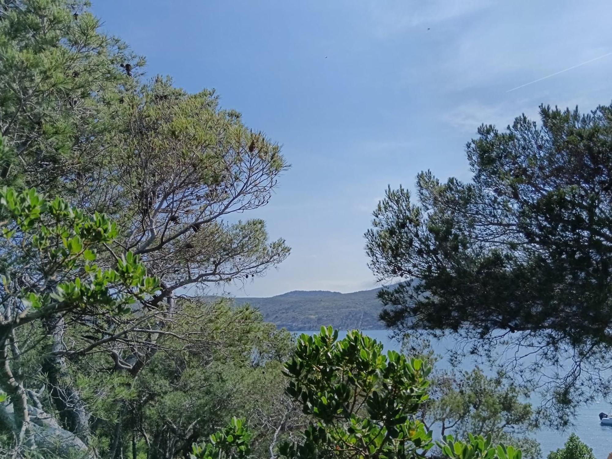 Isla Privada En Cadaques De Ensueno Con 11 Habitaciones Dobles Con Bano Privado Y Piscina Buitenkant foto